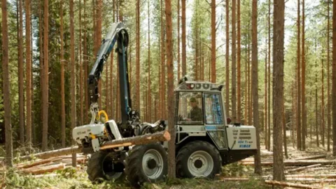 Vimek в белорусских лесах