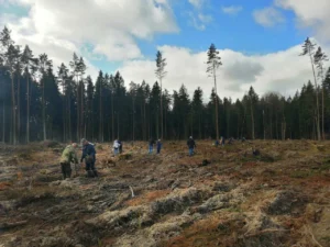 Фотоотчет с акции Неделя леса-2020