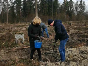 Фотоотчет с акции Неделя леса-2020