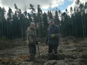 Фотоотчет с акции Неделя леса-2020