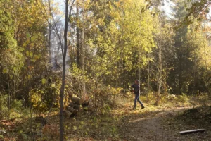 Коллектив компании НОКА ТЕХ принял участие в акции «Чистый лес»