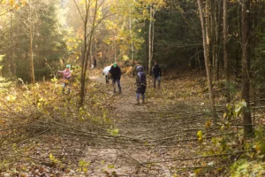 Коллектив компании НОКА ТЕХ принял участие в акции «Чистый лес»