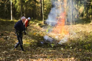 Коллектив компании НОКА ТЕХ принял участие в акции «Чистый лес»