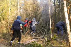 Коллектив компании НОКА ТЕХ принял участие в акции «Чистый лес»