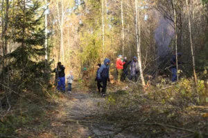 Коллектив компании НОКА ТЕХ принял участие в акции «Чистый лес»