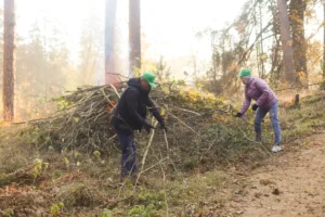 Коллектив компании НОКА ТЕХ принял участие в акции «Чистый лес»
