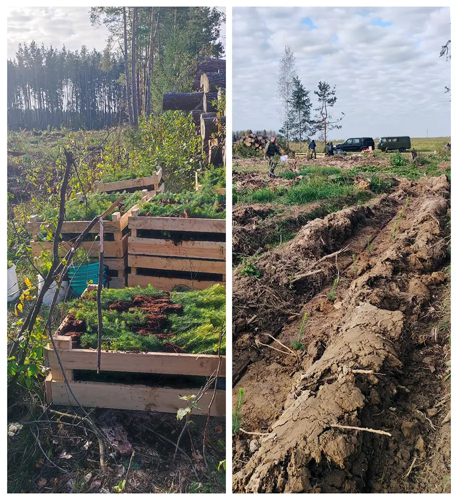 Участие в акции «Аднавiм лес разам!»