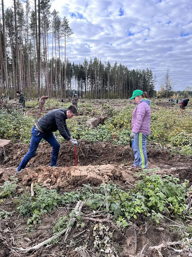 Участие в акции «Аднавiм лес разам!»