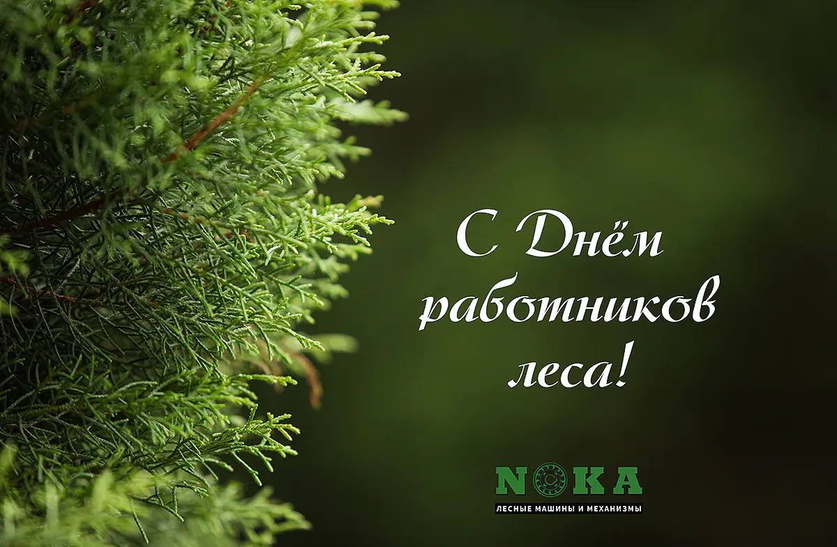 Поздравляем с праздником работников леса